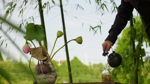 Boiling water is added to teapot to brew tea. A Zen style tea drinking scene. Stock Footage 347247698