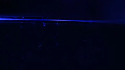 A boiling water close up in blue light Stock Footage 124955962