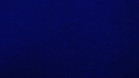 A boiling water close up in blue light Stock Footage 124956039
