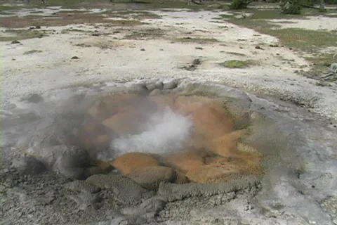 Boiling water Stock Footage 116170