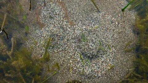 Boiling Water Stock Footage 107391416