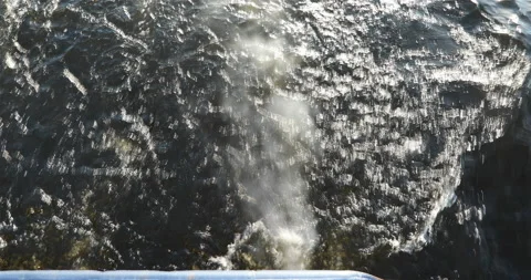 Boiling water from the passing ship Stock Footage 101745883