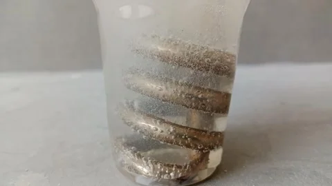 Boiling water in a plastic cup Stock Footage 318463605