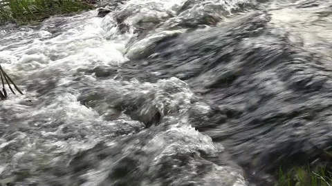 Boiling water. Rapid flow of the river. Spring flooding of rivers. Video stock 153955170