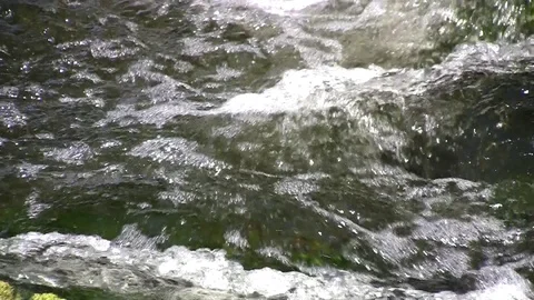 Boiling water on a small river Stock Footage 85626607