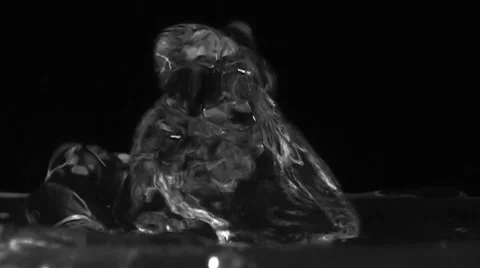 Boiling Water Splash On Black Background Stock Footage 54217866