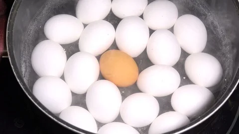 Boiling white and brown eggs 2 Stock Footage 106743120