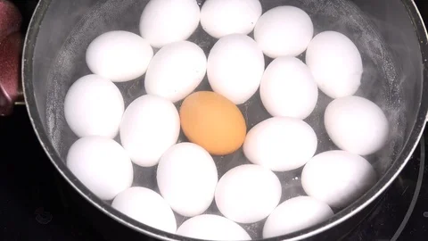 Boiling white and brown eggs Stock Footage 106743136