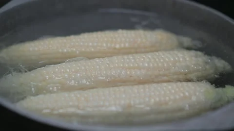 Boiling white corn on the cob Stock-Footage 289494988