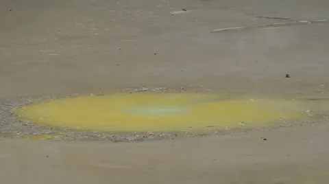 Boiling yellow mud pool Stock Footage 2525135