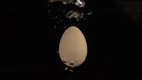 BoilingEgg C0009 Stock Footage 105714345