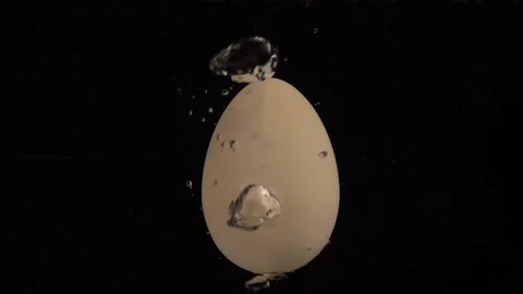 BoilingEgg C0012 Stock Footage 105714459