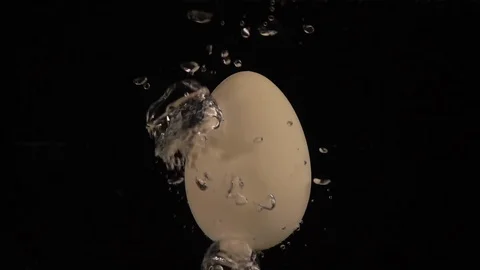BoilingEgg C0015 Stock Footage 105714600