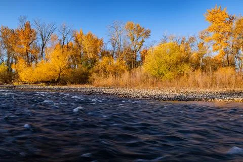 Boise River rapids fall view Stock Photos