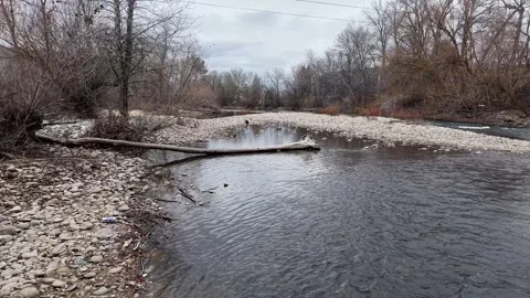 Boise River Winter Under Bridge Cold Stream Bare Trees Idaho Aerial Stock Footage 335479427