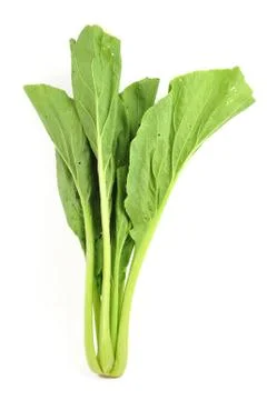 Bok choy Stock Photos