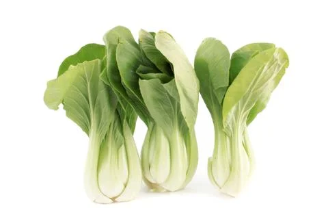 Bok choy Stock Photos