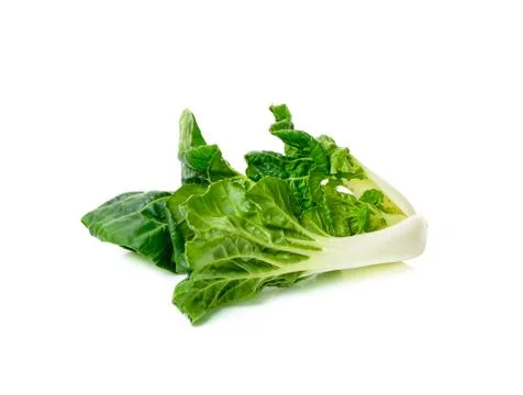 Bok choy vegetable isolated Stock Photos