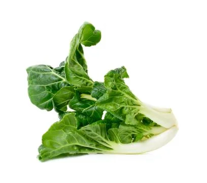 Bok choy vegetable isolated Stock Photos