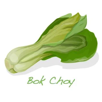 Bok choy vegetable vector Stock Illustration