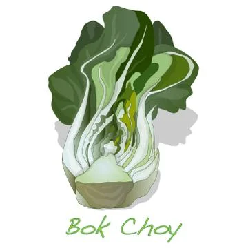 Bok choy vegetable vector Ilustración de archivo