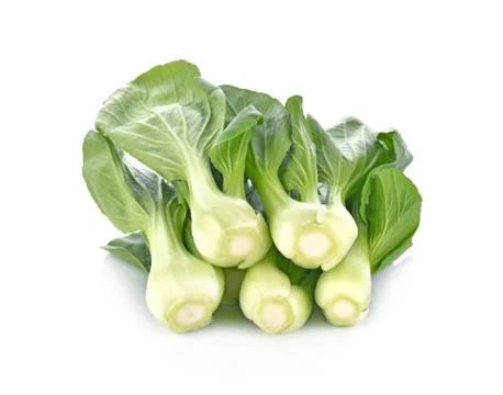 Bok choy vegetable on white background Stock Photos