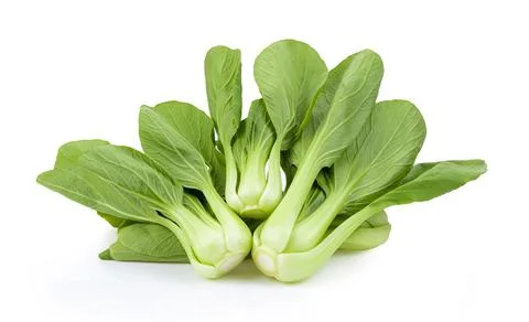 Bok choy vegetable on white Stock Photos