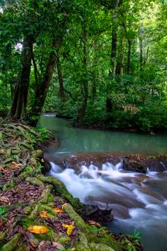 Than Bok khorani waterfall. Stock Photos