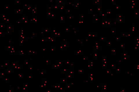 Bokeh abstract background Stock Photos