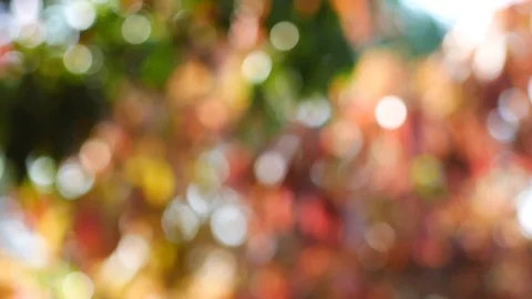 Bokeh and backdrop15 Vídeos de archivo 104402939
