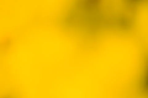 Bokeh and blur Stock Photos