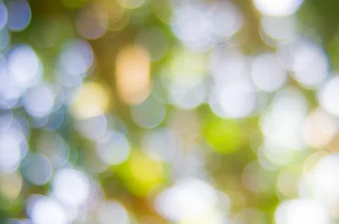 Bokeh and blur Stock Photos