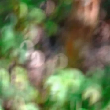 Bokeh bacgground Foto stock