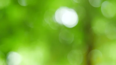 Bokeh background From the beginning not in nature. Stock Footage 93116055