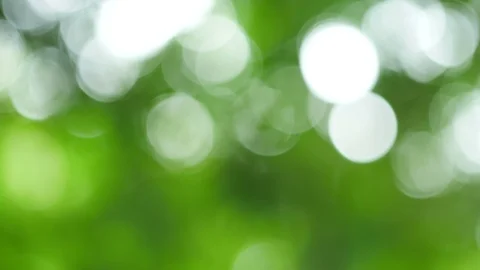 Bokeh background From the beginning not in nature. Stock Footage 93116113