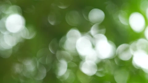 Bokeh background From the beginning not in nature. Stock Footage 93116193