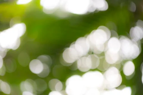 Bokeh background with blurred leafs in back light Stock Photos