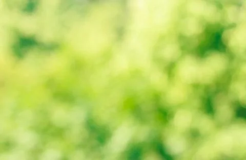 Bokeh background. Element of design. Stock Photos