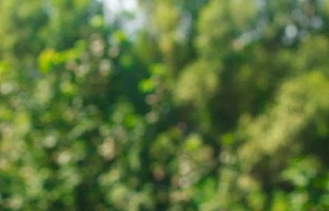 Bokeh background. Element of design. Stock Photos