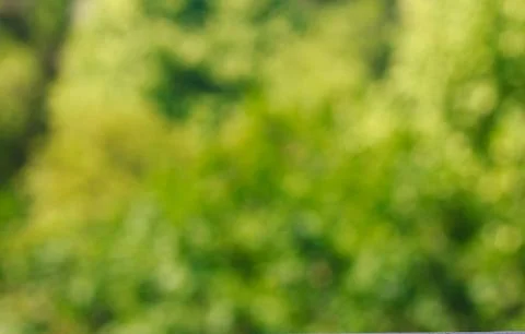 Bokeh background. Element of design. Stock Photos