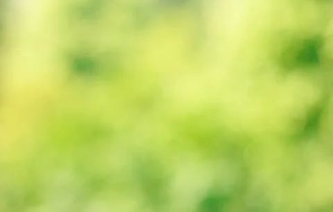 Bokeh background. Element of design. Stock Photos