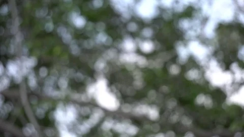 Bokeh background Stock Footage 74504720