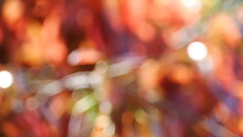 Bokeh background Vídeos de archivo 104244723