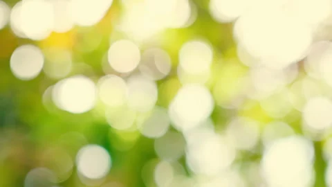 Bokeh background Stock Footage 231015606