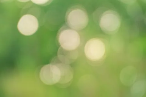 Bokeh background on green background Stock Photos