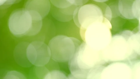 Bokeh background Green blurred leaves, nature that swaying by the beautiful bree Stock Footage 128282936