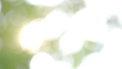 Bokeh background Green blurred leaves, nature that swaying by the beautiful bree Stock Footage 128282963