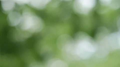 Bokeh background image Can be used as a backdrop Stock Footage 110625537