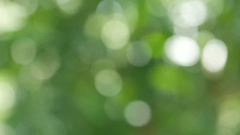 Bokeh background image Can be used as a backdrop Stock Footage 110626059
