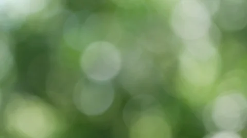 Bokeh background image Can be used as a backdrop Stock Footage 110626090
